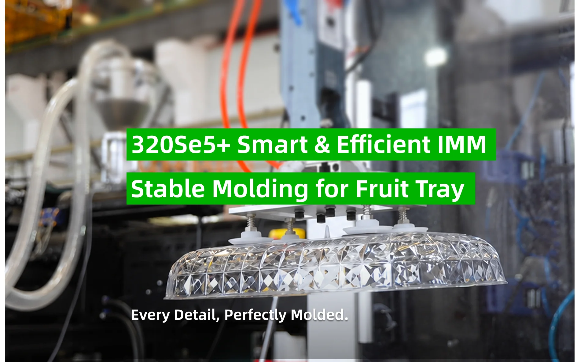 Se5+ Solution for Fruit Tray